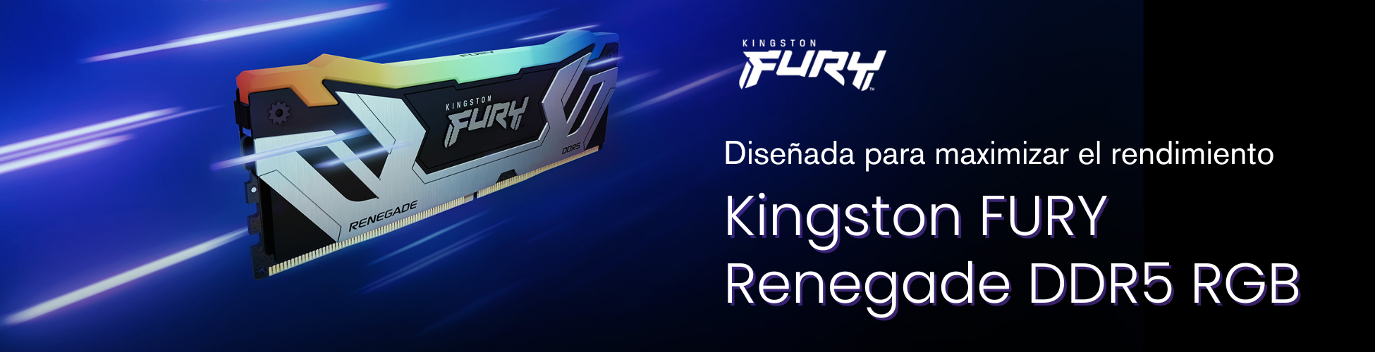 kingston fury
